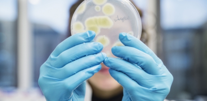 Wissenschaft trifft Wirtschaft: Gemeinsam gegen Infektionen