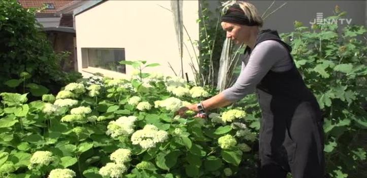 Gärten geöffnet: Siebzehn grüne Oasen stehen am Sonntag in Jena für Besucher offen