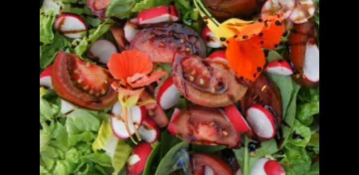 Per App zur gesunden Ernährung