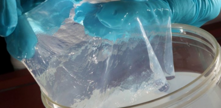 Neue Ansätze zur Behandlung chronischer Wunden 