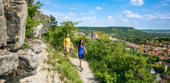 Mobilfähige Internetseite für die SaaleHorizontale