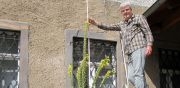 Prachtexemplar am Museum für Naturkunde Gera