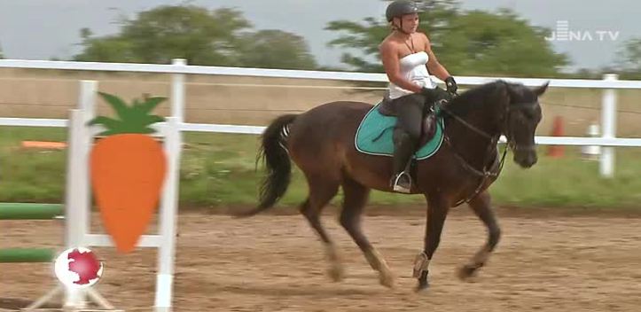 Einladung zum Jubiläumsturnier: Der Reitsportverein Mühle Cospeda besteht seit 20 Jahren