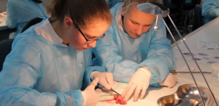 Herbstferienkurs mit Pipette und Skalpell