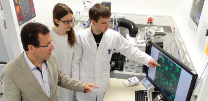 Bund fördert Projekt zum 3D-Bioprinting an der EAH 