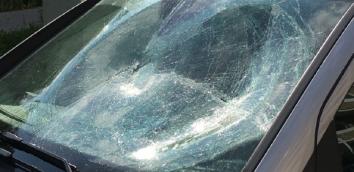 Autos von AfD-Funktionären beschädigt