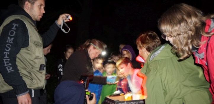 Werbung für Fledermausschutz