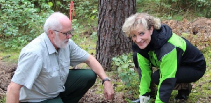 Forschung zum Waldumbau  