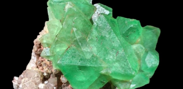 Ostthüringer Mineralien- und Fossilienbörse in  Gera