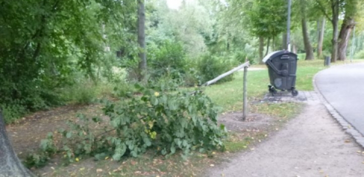 Wieder Vandalismus im Volkspark Oberaue