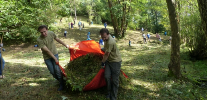 Gemeinsamer Wiesenputz für den Orchideenschutz