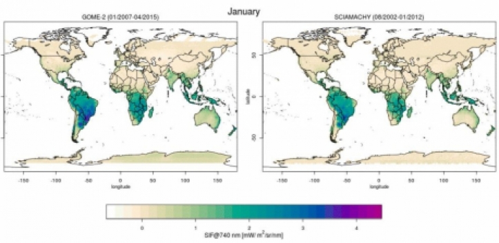 Satelliten erfassen Photosynthese mit hoher Auflösung
