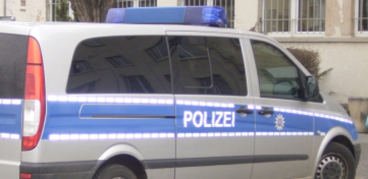 Drei Frischlinge überfahren