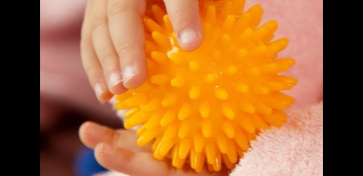 DRK-Kita DUALINGO als Kneipp-Einrichtung bestätigt