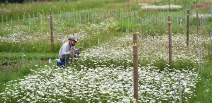 Artenverlust zerstört Ökosysteme