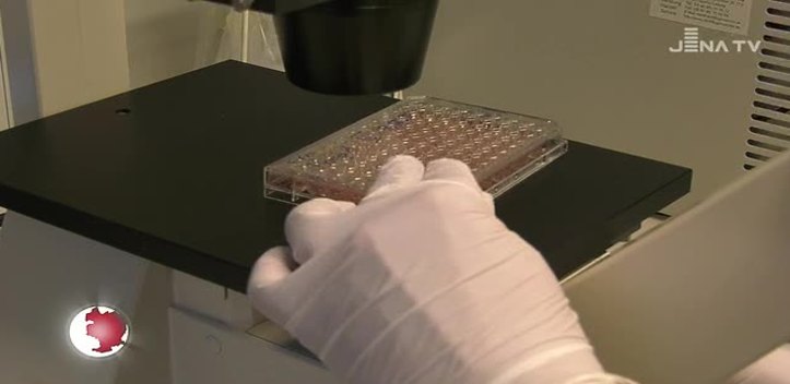 Exzellente Forschung: Wissenschaftler beschäftigen sich mit Rezeptoren zur Behandlung von Krankheiten