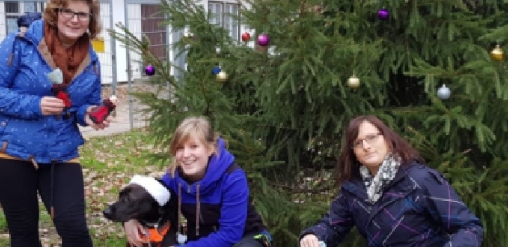 Spende für Eisenberger Tierheim