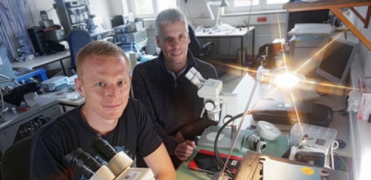 Messmethode für aktive nanoskalige Bauteile