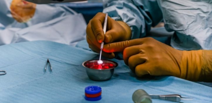 Neue Hornhäute sorgen für klare Sicht