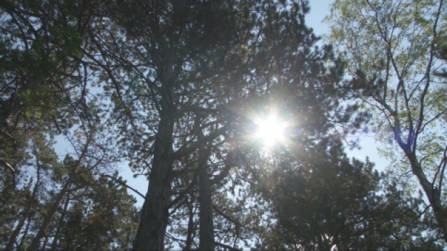 JenaJournal vom 05.08.2015