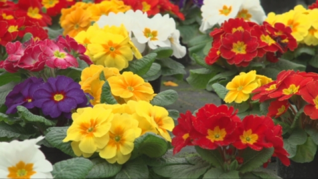 JenaJournal vom 08.03.2017