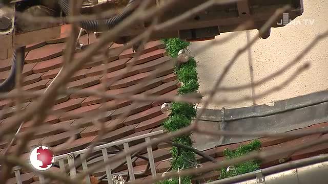 Weihnachtsschmuck ab: Der Kommunalservice entfernt in dieser Woche die Festtags-Überbleibsel