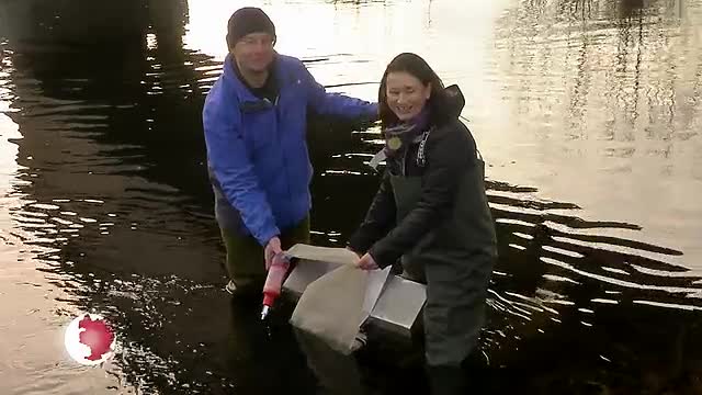 Probe genommen: An der Saale in Kunitz erfolgte der Start für den Nachweis von Mikroplastik 