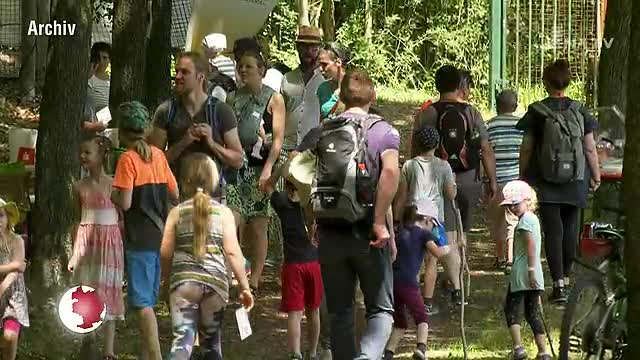 Einladung zum Familienwandertag: Auf dem Otto-Schott-Platz steppt im Juni wieder der Bär