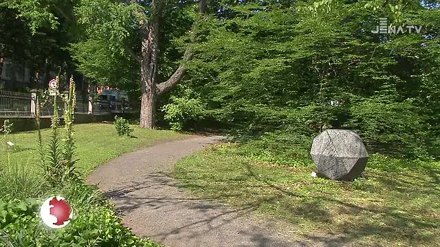 Mit Kontrasten im Botanischen Garten: Der Jenaer Kunstverein präsentiert Stahlplastiken 