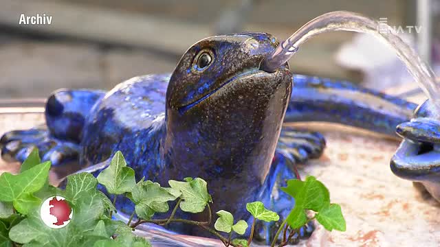 Töpfermarkt: Am kommenden Wochenende werden 60 Kunstkeramiker auf dem Marktplatz erwartet