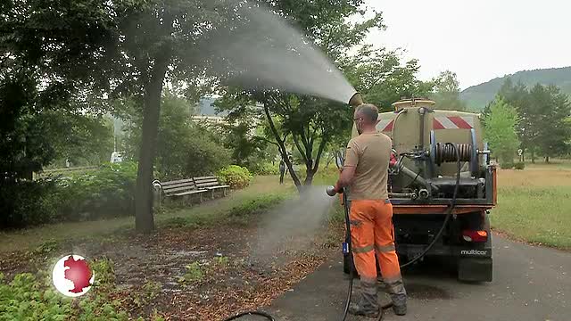 Bewässerung: Wie der Kommunalservice in der Sommerhitze das Stadtgrün pflegt