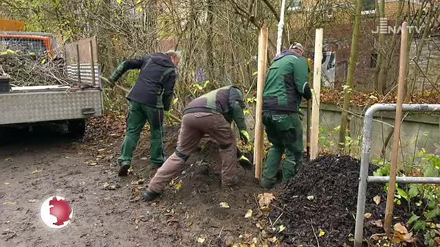 Nach den Baumfällungen am Lommerweg wurde dort nun wieder aufgeforstet