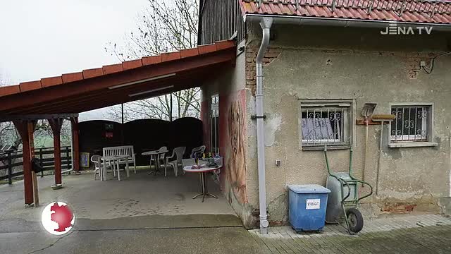 Investition für Tierheim: Das Zuhause auf Zeit soll  Schritt für Schritt saniert werden