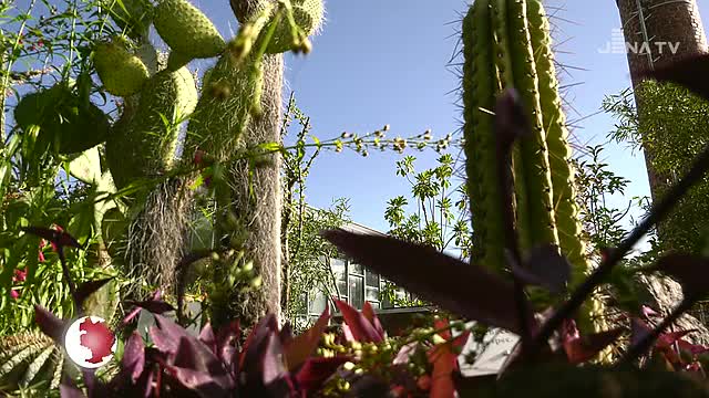 Bänke gestiftet: Die WG „Carl Zeiss“ und die Rautal Unternehmensgruppe fördern den Botanischen Garten 