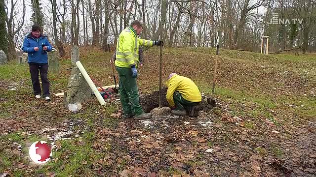 Bäume pflanzen: Am Fuchsturm kamen dank einer Spendenaktion auch Winterlinden in die Erde