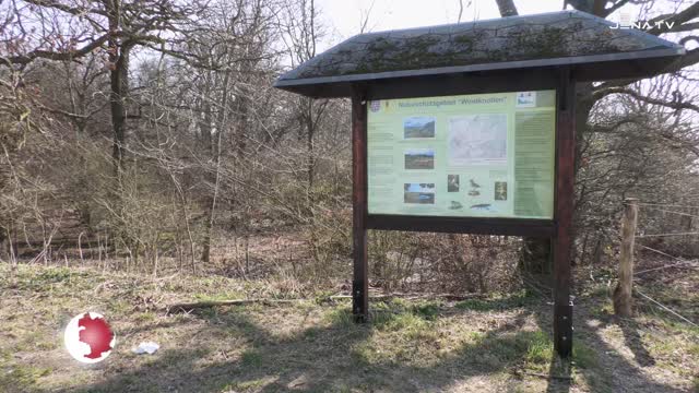 Müll in der Natur: Welche Ausmaße illegale Ablagerungen inzwischen angenommen haben