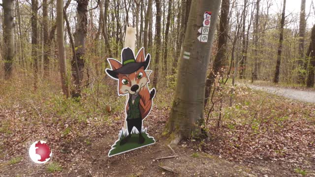 Entdecken und Erleben: Der Walderlebnispfad „Schlauer UX“ wird rundum erneuert