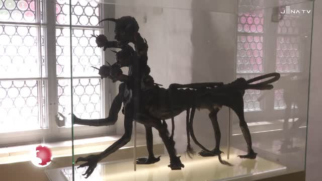 Werbung für Sieben Wunder: Das gleichnamige Jenaer Unternehmen unterstützt die Städtischen Museen