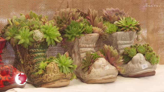 Auf dem Marktplatz: Beim 25. Jenaer Töpfermarkt wurde am Wochenende Keramik angeboten