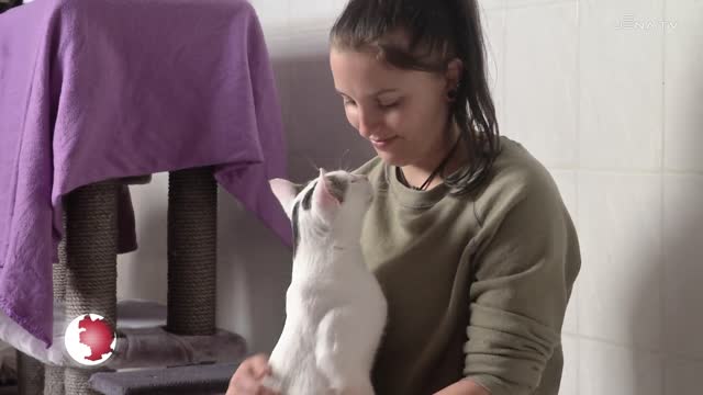 Hoffen auf Vermittlung: Kater Barnaby aus dem Tierheim sucht ein neues Zuhause 