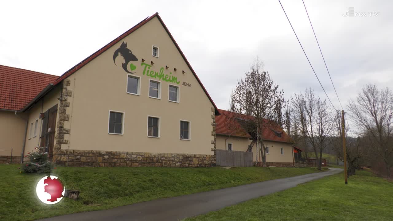 Im Tierheim: Zum Jahresende zieht der Verein Bilanz und blickt auf die Herausforderungen 2023