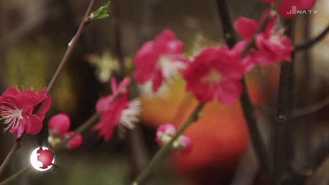 Dekoriert: In der Goethe Galerie weckt eine Ausstellung die ersten Frühlingsgefühle
