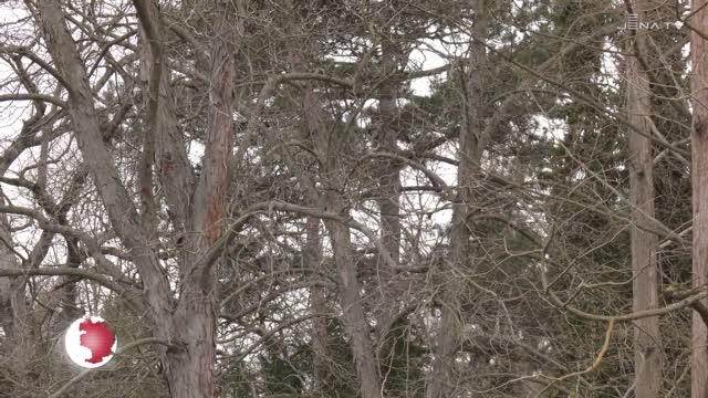 Frühling begrüßt: Der Botanische Garten ist nicht nur an den Osterfeiertagen einen Besuch wert