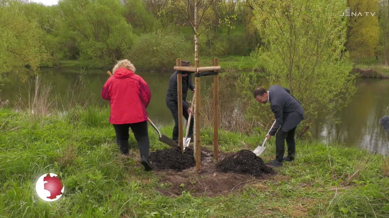 Tag des Baumes: Am Saalebogen Göschwitz wurde eine Moor-Birke gepflanzt 