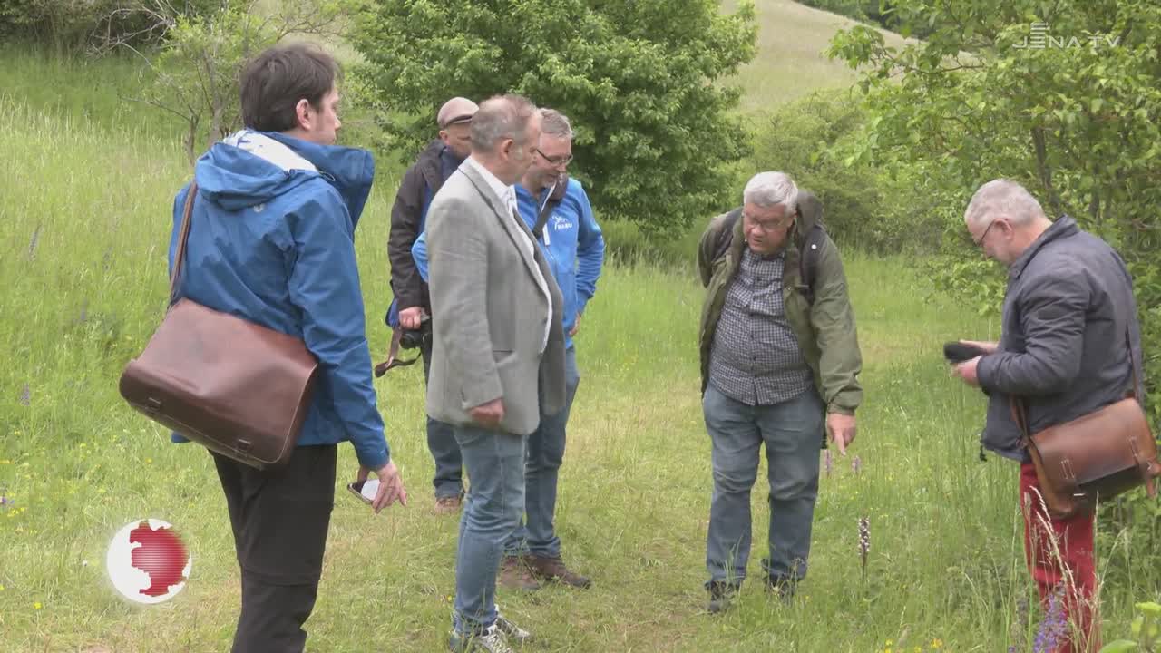 Blühende Pracht – Umweltminister Bernhard Stengele nahm an einer Orchideenwanderung teil