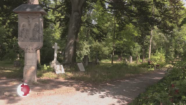 Kunst und Krempel – Am 1. Juli wird auf den Johannisfriedhof zum 17. Jenaer Kunstgarten eingeladen