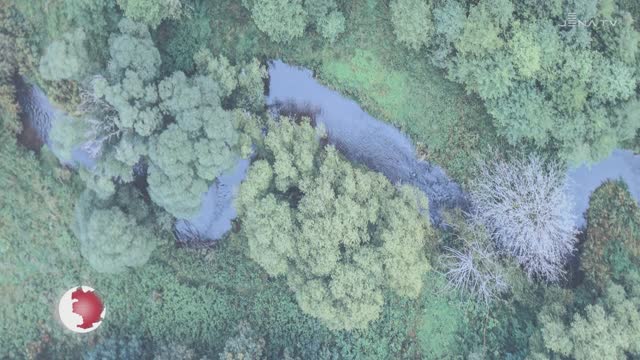 Ausstellung zur „Auenstadt“ – Die Deutsche Umwelthilfe zeigt eine Schau zu Flusslandschaften