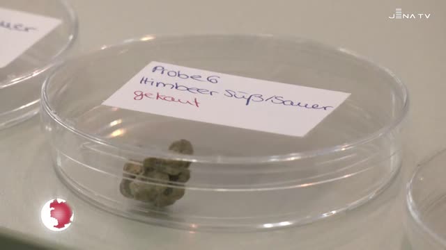 Jugend forscht - Sieger der besten Projekte ausgezeichnet