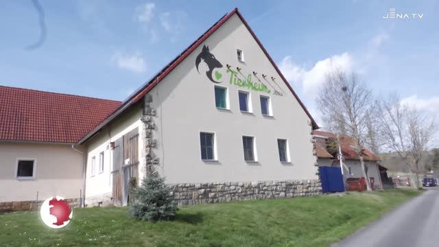 Social Media – Tierheim nutzt Facebook und Instagram zur Vermittlung