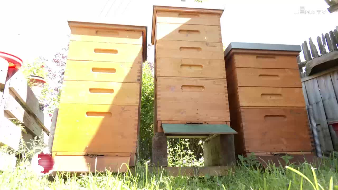 Honig aus der Region – Sparkasse übernimmt Patenschaft für zwei Bienenvölker